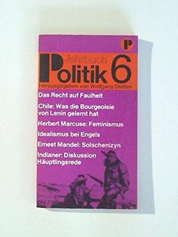 Jahrbuch Politik VI