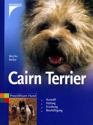 Cairn Terrier