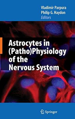 Astrocytes in (Patho)Physiology of the Nervous System