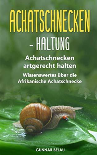 Achatschnecken - Haltung: Achatschnecken artgerecht halten | Wissenswertes über die Afrikanische Achatschnecke