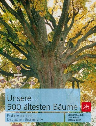 Unsere 500 Ã¤ltesten BÃ¤ume: Exklusiv aus dem Deutschen Baumarchiv