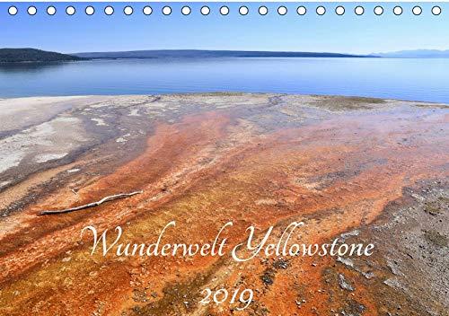 Wunderwelt Yellowstone 2019 (Tischkalender 2019 DIN A5 quer): Der Yellowstone Nationalpark bietet eine einzigartige geologische Ansammlung von heißen ... (Monatskalender, 14 Seiten ) (CALVENDO Natur)