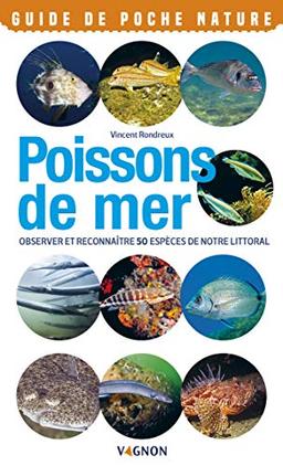 Poissons de mer : observer et reconnaître 50 espèces de notre littoral