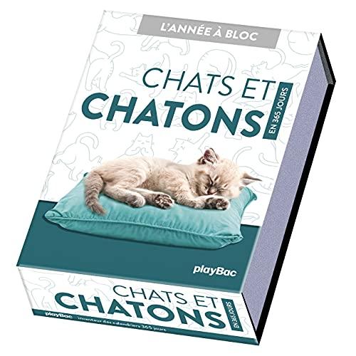 Chats et chatons : en 365 jours