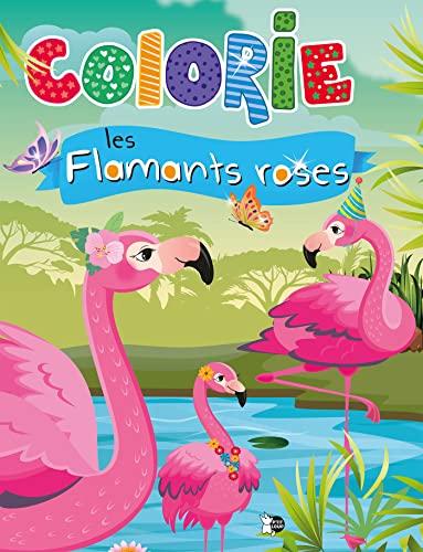 Colorie les flamants roses