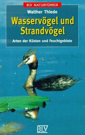 Wasservögel und Strandvögel: Arten der Küsten und Feuchtgebiete