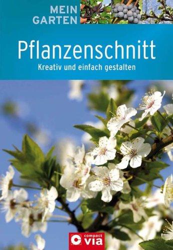 Pflanzenschnitt: Kreativ und einfach gestalten