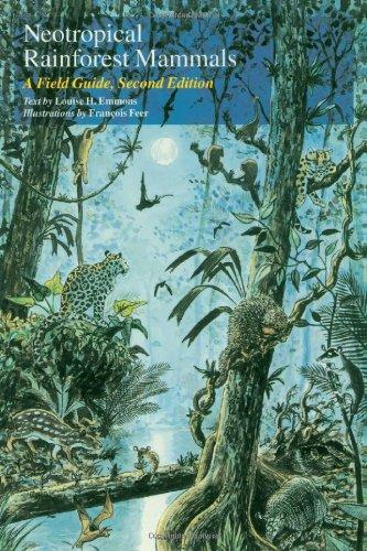 Neotropical Rainforest Mammals: A Field Guide