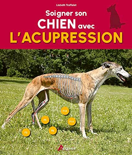 Soigner son chien avec l'acupression