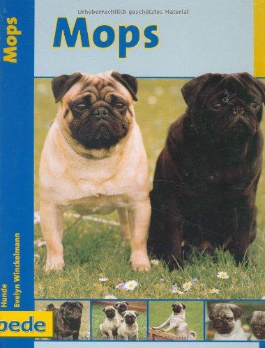 Mops, Praxisratgeber