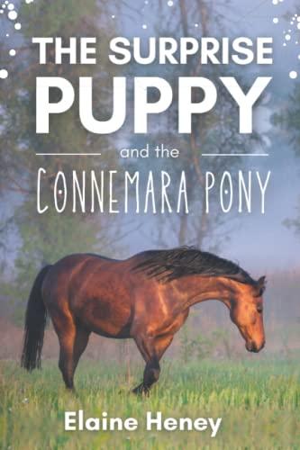 The Surprise Puppy and the Connemara Pony - The Coral Cove Horses Series (Coral Cove Horse Adventures for Kids, Band 3)