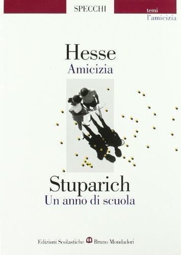 Amicizia - Un anno di scuola