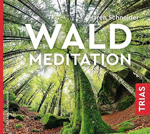 Waldmeditation (Hörbuch Gesundheit)