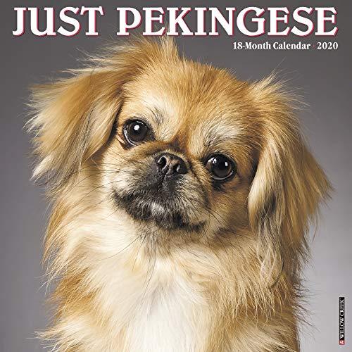 Just Pekingese 2020 Calendar