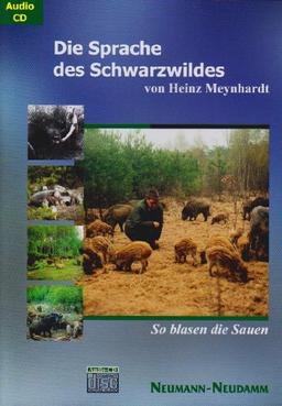 Die Sprache des Schwarzwildes: So blasen die Sauen