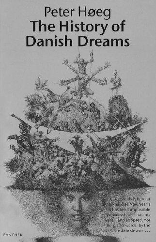 The History Of Danish Dreams (Roman)