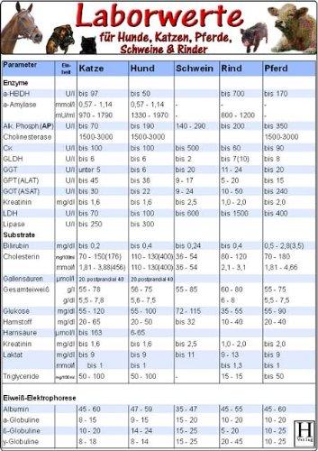 Laborwerte für Hunde, Katzen, Pferde, Schweine, Rinder