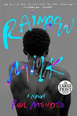 Rainbow Milk: A Novel (Random House Large Print)