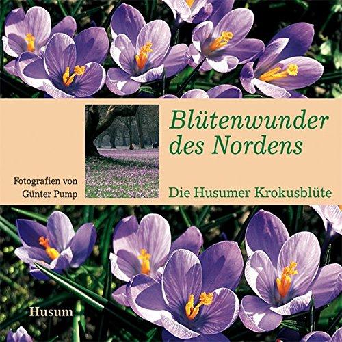 Blütenwunder des Nordens: Die Husumer Krokusblüte