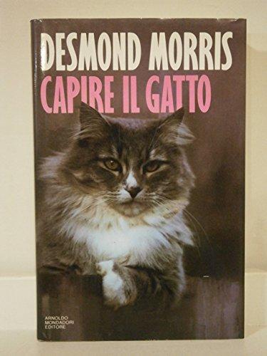 Capire Il Gatto