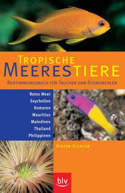 Tropische Meerestiere