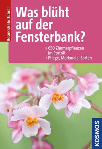 Was blüht auf der Fensterbank?