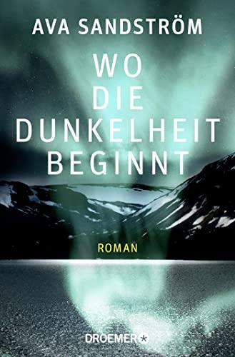 Wo die Dunkelheit beginnt: Roman