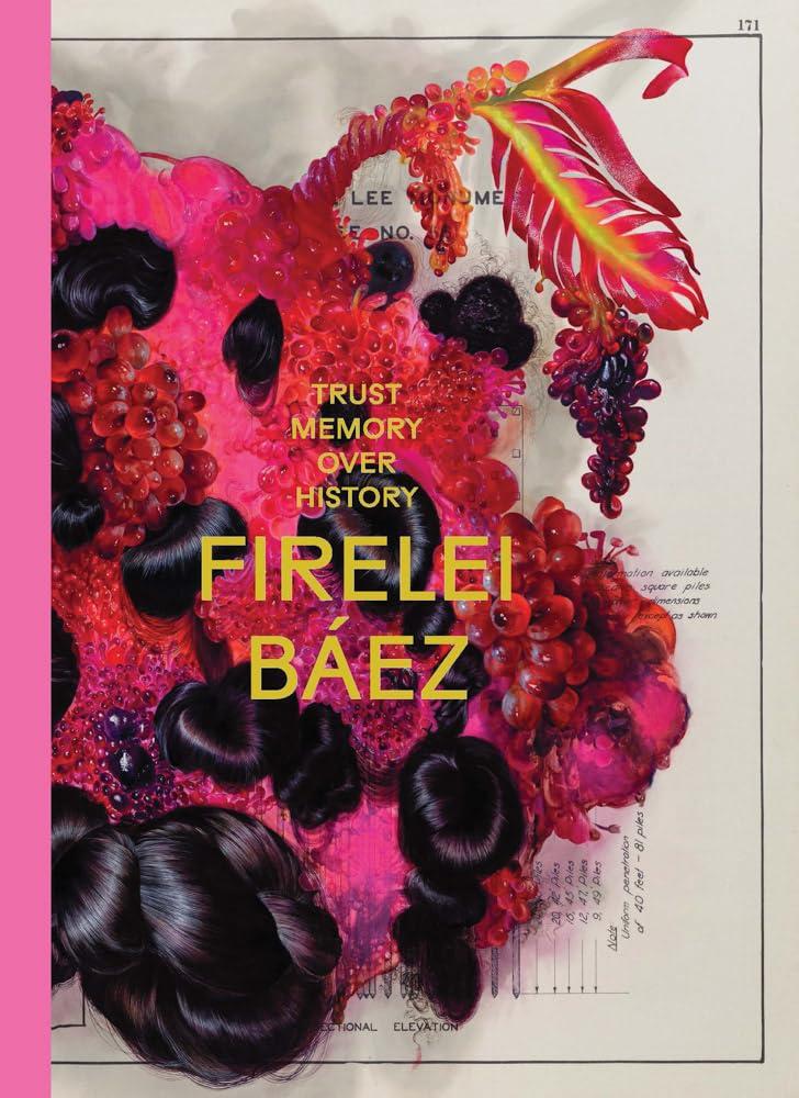 Firelei Báez : Trust Memory over History