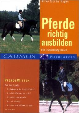 Pferde richtig ausbilden: Die Ausbildungsskala