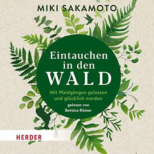 Eintauchen in den Wald: Mit Waldgängen gelassen und glücklich werden