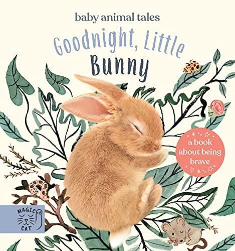 Goodnight, Little Bunny: A book about being brave (Baby Animal Tales)