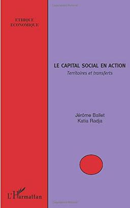 Le capital social en action : territoires et transferts