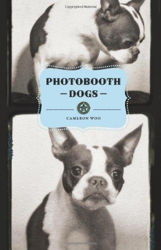 Photobooth Dogs