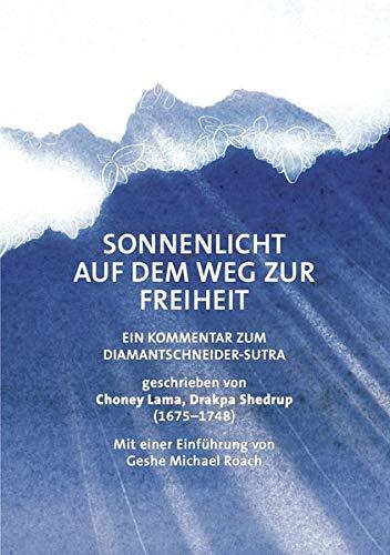 Sonnenlicht auf dem Weg zur Freiheit: Ein Kommentar zum Diamantschneider-Sutra (Diamantschneider Klassiker)