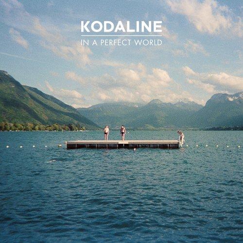 In a Perfect World [Vinyl LP]