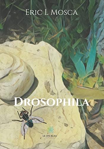 Drosophila