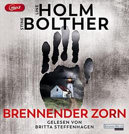 Brennender Zorn: . (Die Maria-Just-Reihe, Band 2)