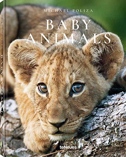 Baby Animals - Die schönsten Fotos afrikanischer Tierkinder in einem Buch vesammelt (Deutsch, Englisch, Französisch) - 14,6x18,7 cm, 160 Seiten