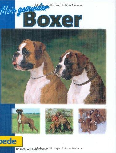 Mein gesunder Boxer