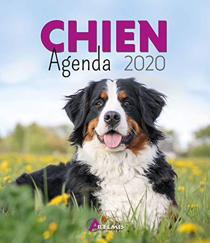 Chien : agenda 2020