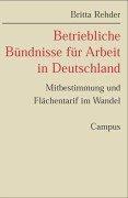 Betriebliche Bündnisse für Arbeit in Deutschland: Mitbestimmung und Flächentarif im Wandel (Schriften aus dem MPI für Gesellschaftsforschung)