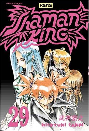 Shaman king. Vol. 29