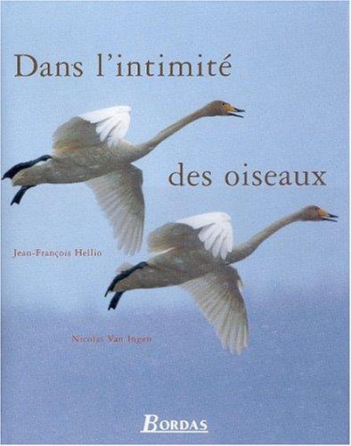 Dans l'intimité des oiseaux