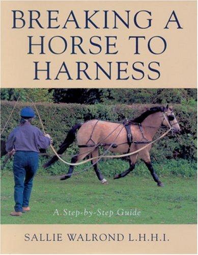 Breaking a Horse to Harness: Step-by-step Guide