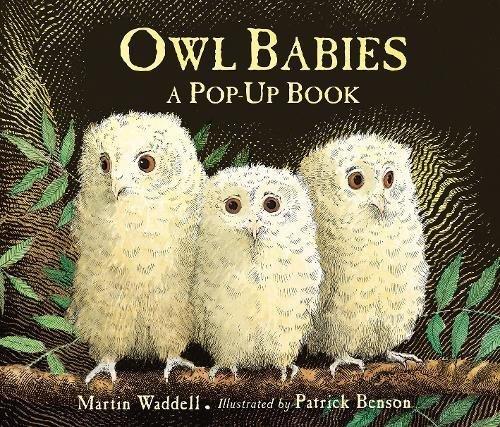 Owl Babies