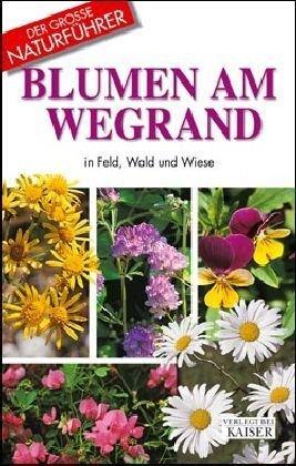 Blumen am Wegrand: In Feld, Wald und Wiese