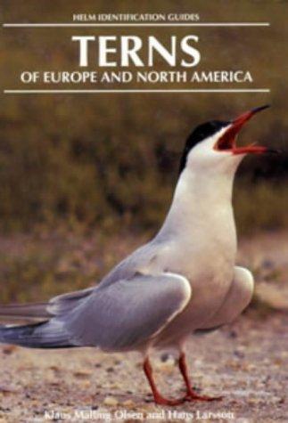 Terns of Europe and North America (Helm Identification Guides)