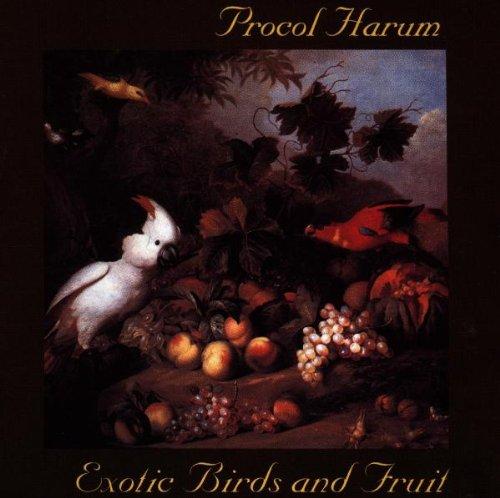 Exotic Birds & Fruit