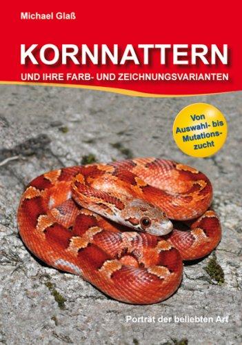 Kornnattern und ihre Farb- und Zeichnungsvarianten