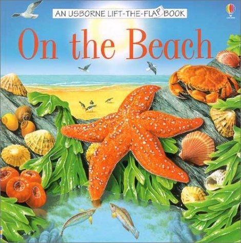 On the Beach (Usborne Lift the Flap Books)